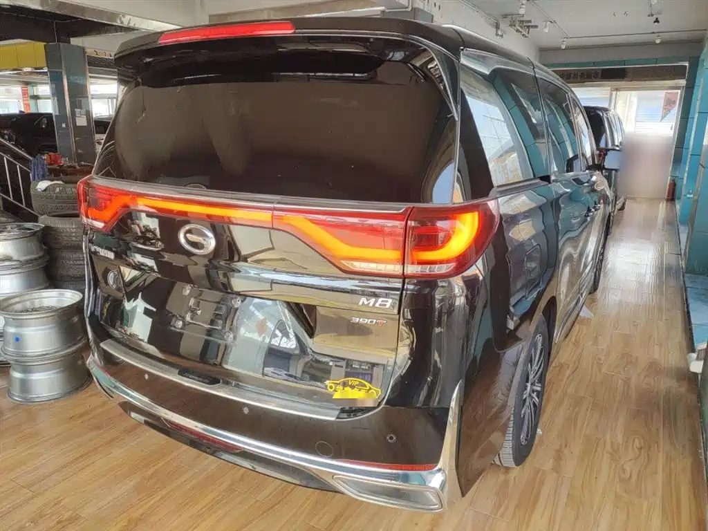 GAC Trumpchi Trumpchi M8 2021 Leading Show Series 390T Prestige Edition фото 7