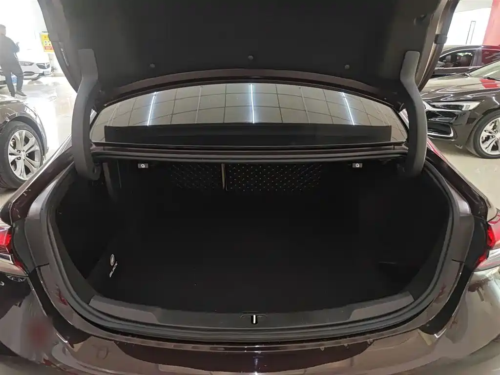 Buick LaCrosse 2021 Avenir Avia First Edition фото 9
