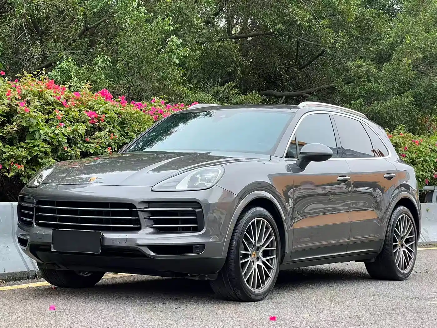 Porsche Cayenne 2022 Cayenne 3.0T Platinum Edition