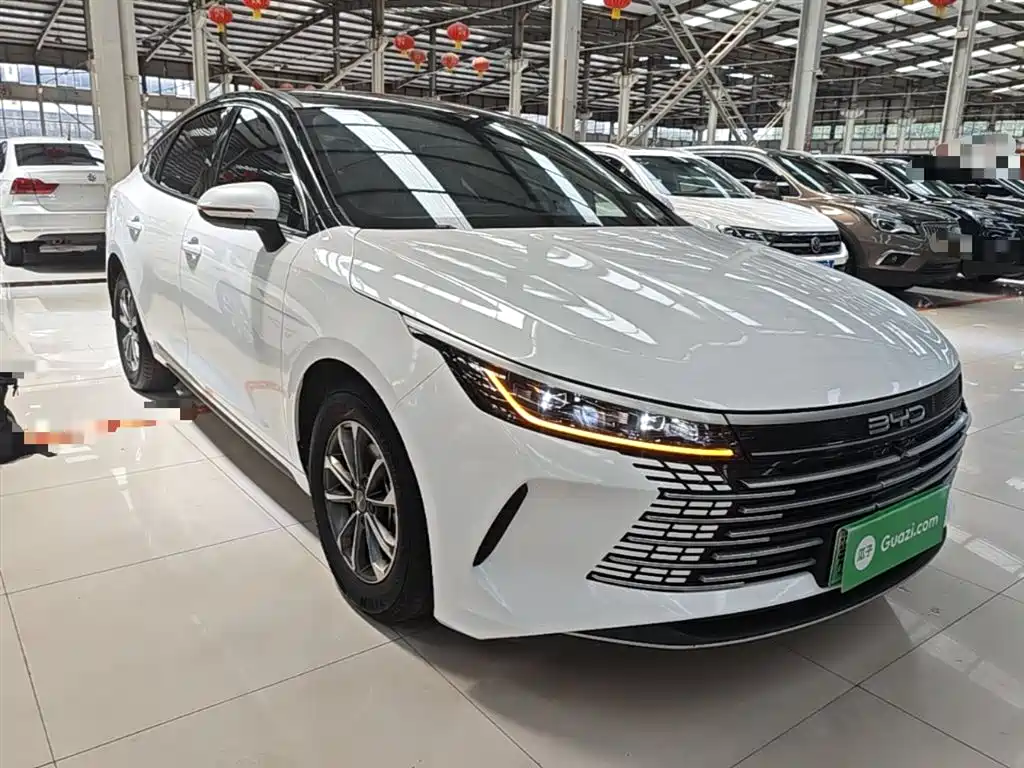 BYD Destroyer 05 2024 Glory Edition DM-i 55KM Luxury фото 4