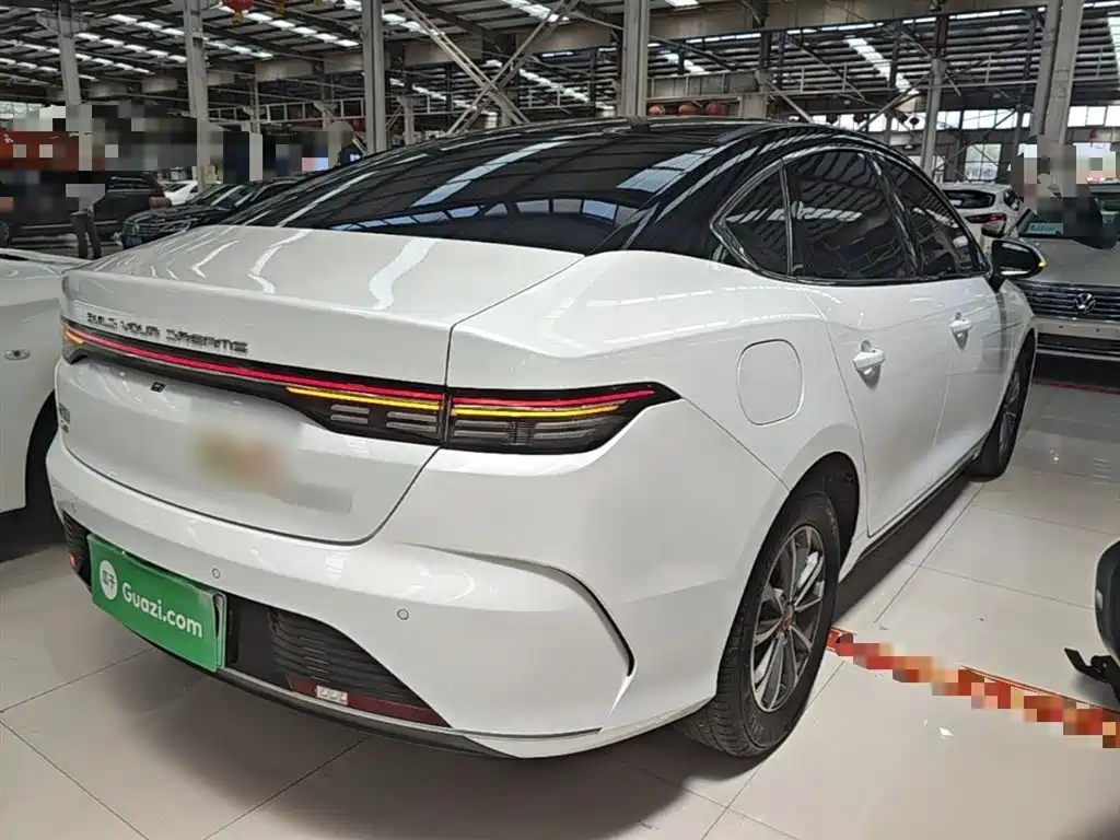 BYD Destroyer 05 2024 Glory Edition DM-i 55KM Luxury фото 7