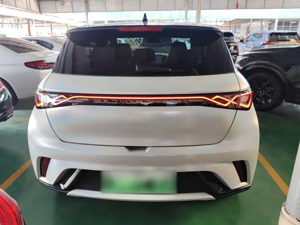 BYD Dolphin 2023 420km Fashion Edition фото 6