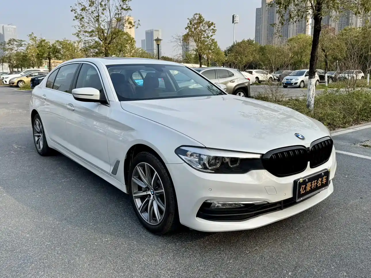 BMW 5 Series 2018 528Li Launch Special Edition фото 3
