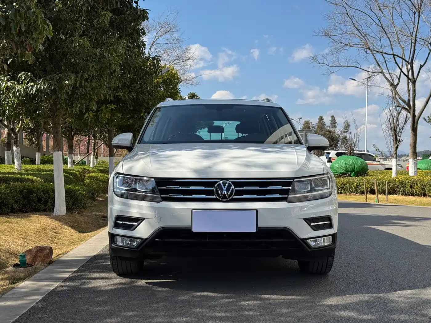 Volkswagen Tiguan L 2021 330TSI Automatic 2WD Smart фото 2