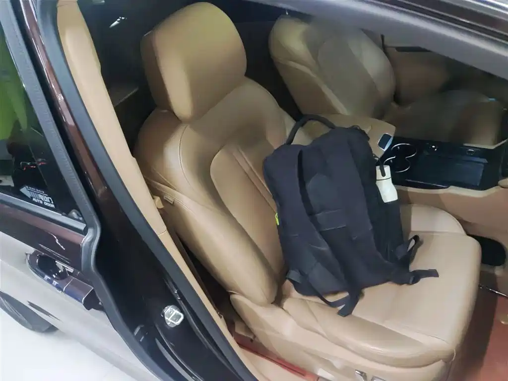 Buick GL8 2021 ES Landlord 653T Luxury фото 21