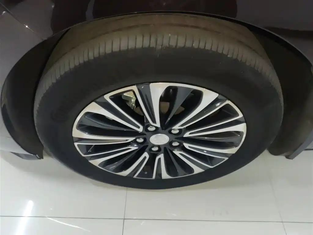 Buick GL8 2021 ES Landlord 653T Luxury фото 25