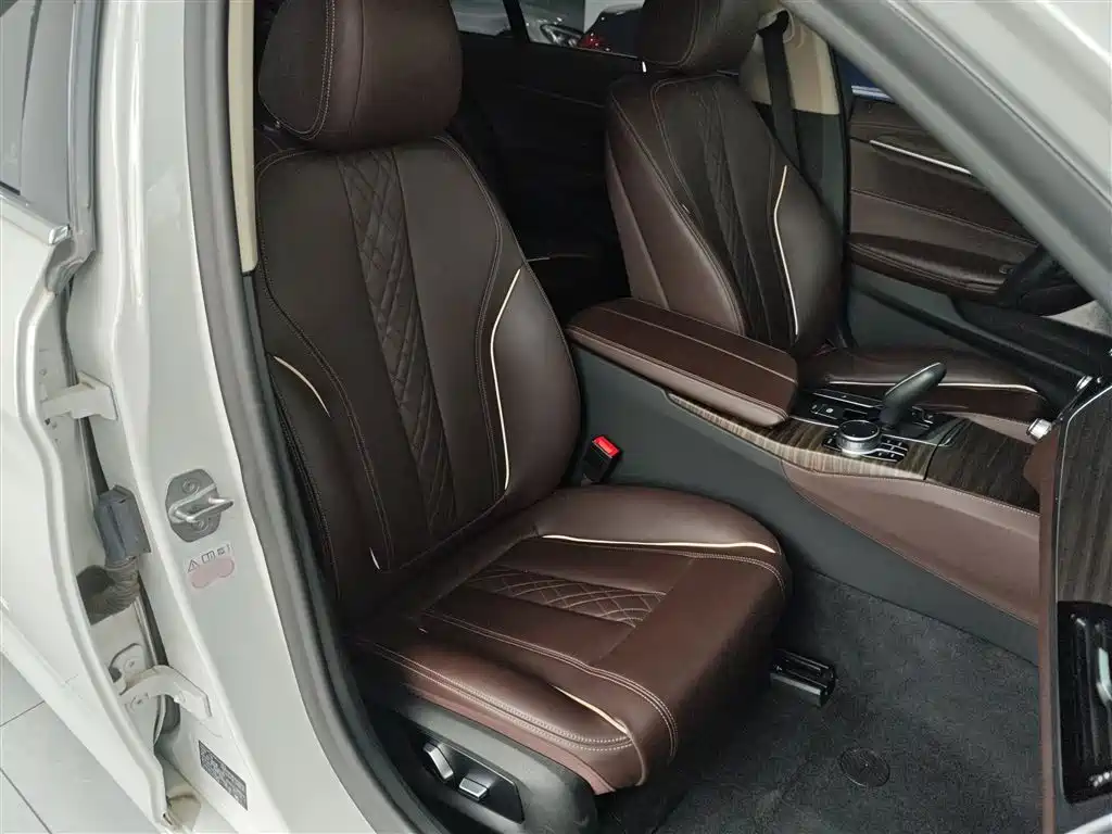 BMW 5 Series 2020 530Li Leading Luxury Package фото 17