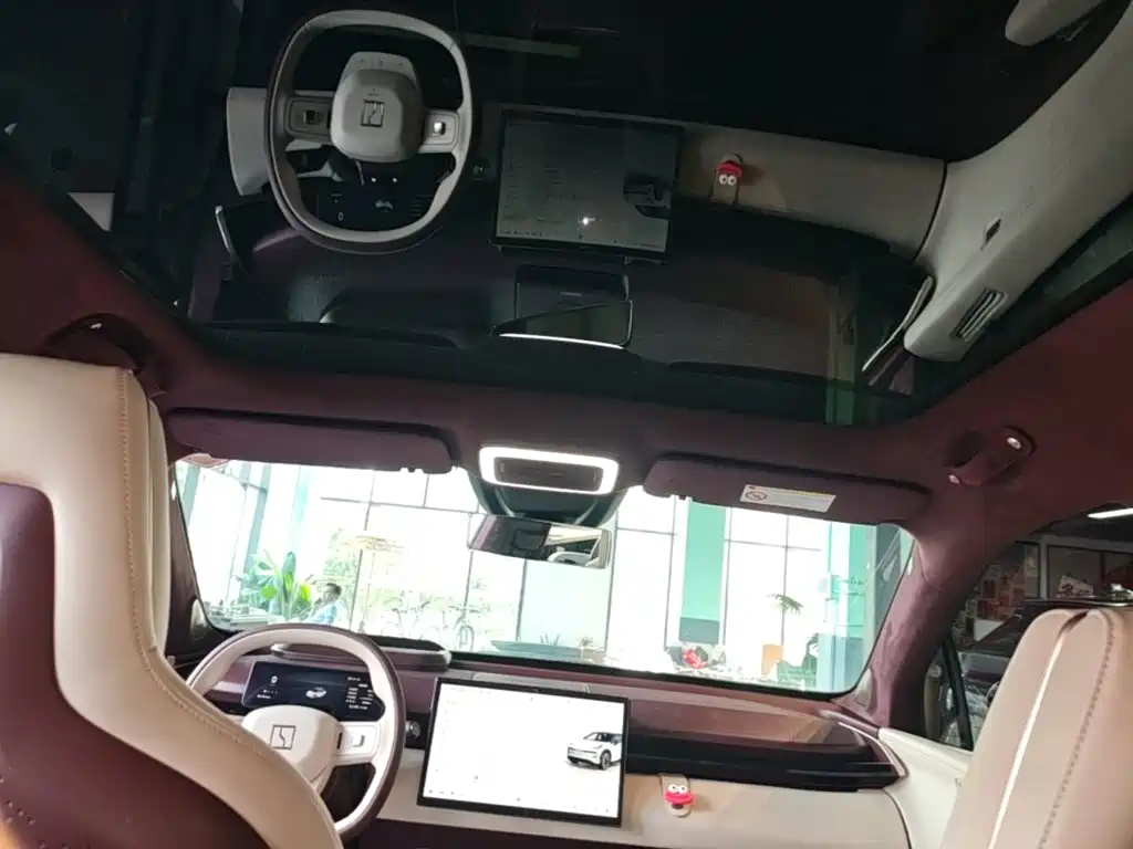 ZEEKR X 2025 2025 5-Seater RWD Edition