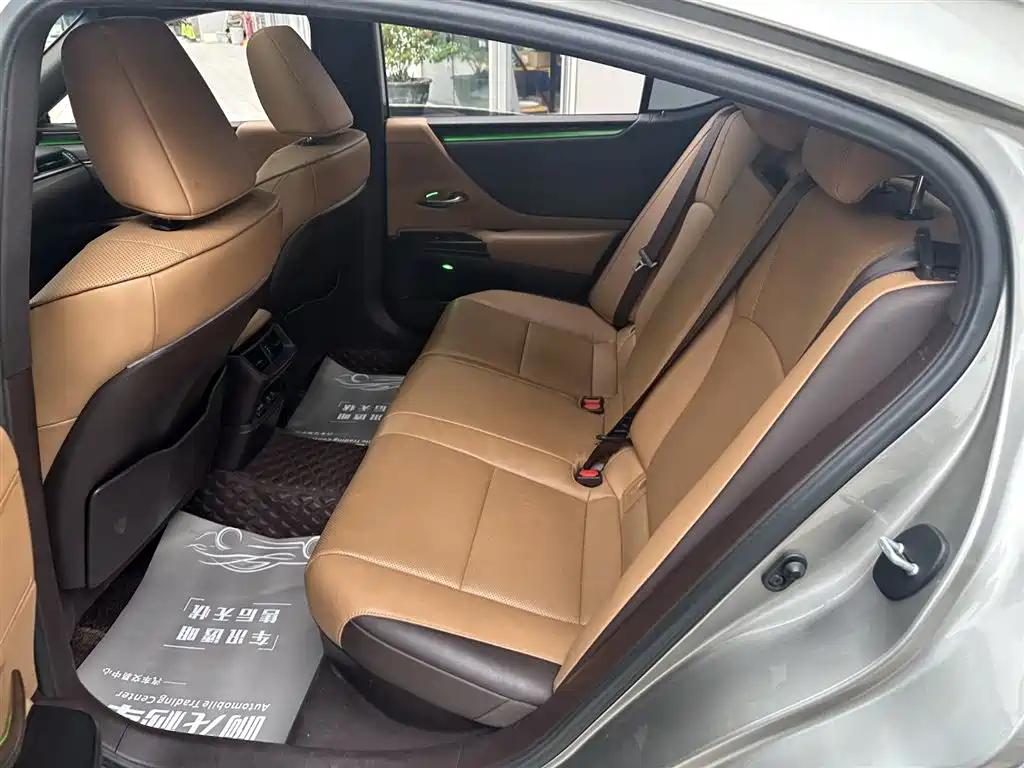 Lexus ES 2020 Model 300h Excellence Edition фото 13