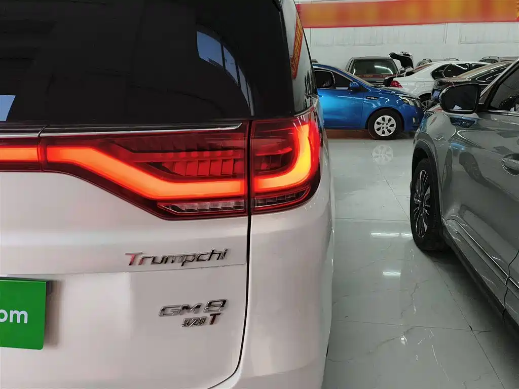 GAC Trumpchi Trumpchi M8 2018 320T Premium Edition фото 8