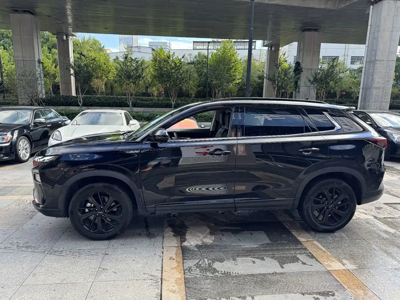 2024 Dongfeng Aeolus Haoji