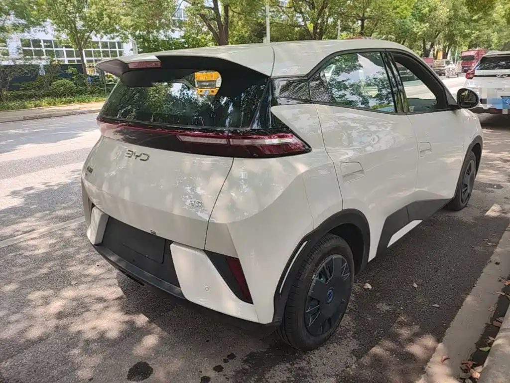 BYD Seagull 2026 2025 305km Vitality