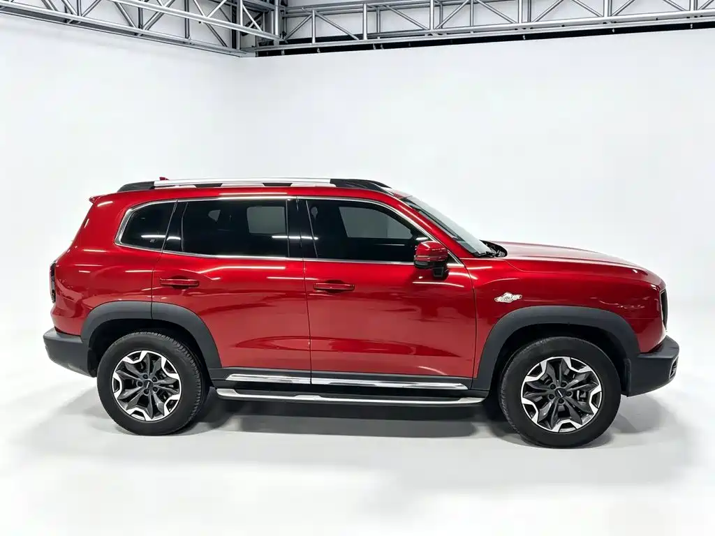 Haval Dargo 2021 2021 2.0T DCT 4WD Chinese Rural Dog Edition