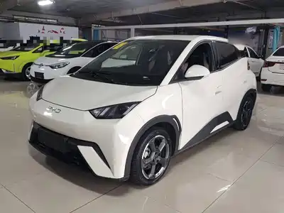 BYD Seagull
