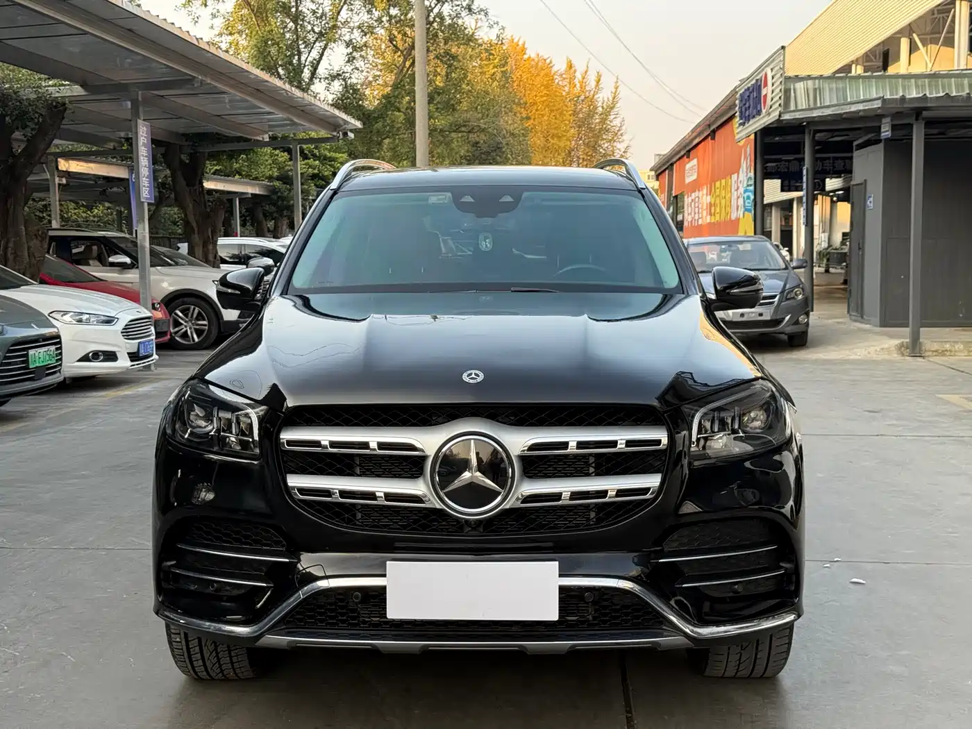 Mercedes-Benz GLS 2021 Facelift GLS 450 4MATIC Fashion фото 2