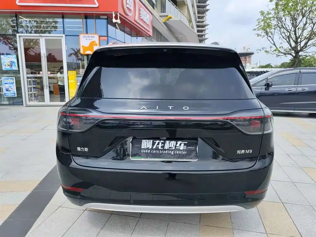 AITO Wenjie AITO M9 2024 Extended Range Ultra 42kWh 6-Seater фото 9