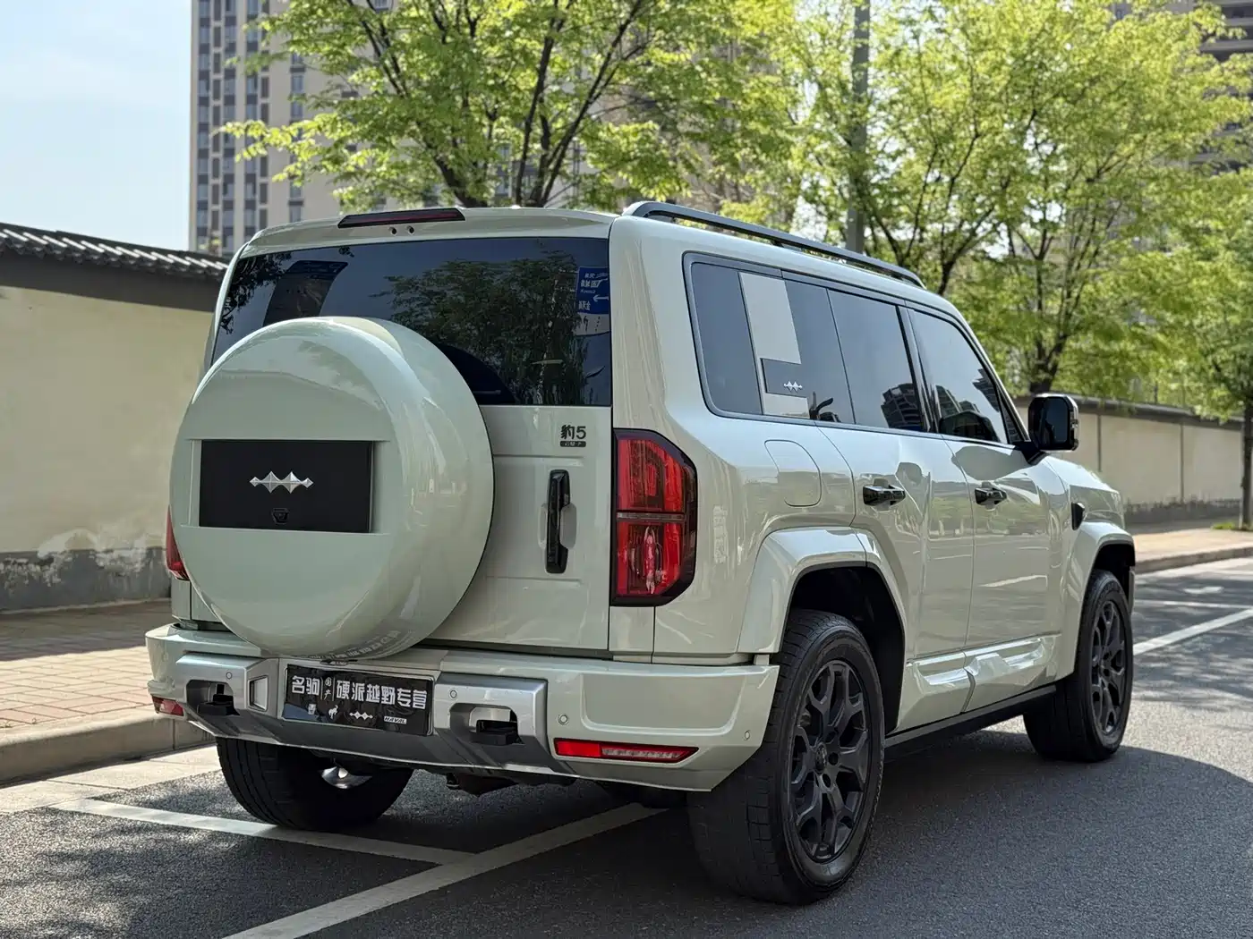 FANG CHENG BAO LEOPARD 5