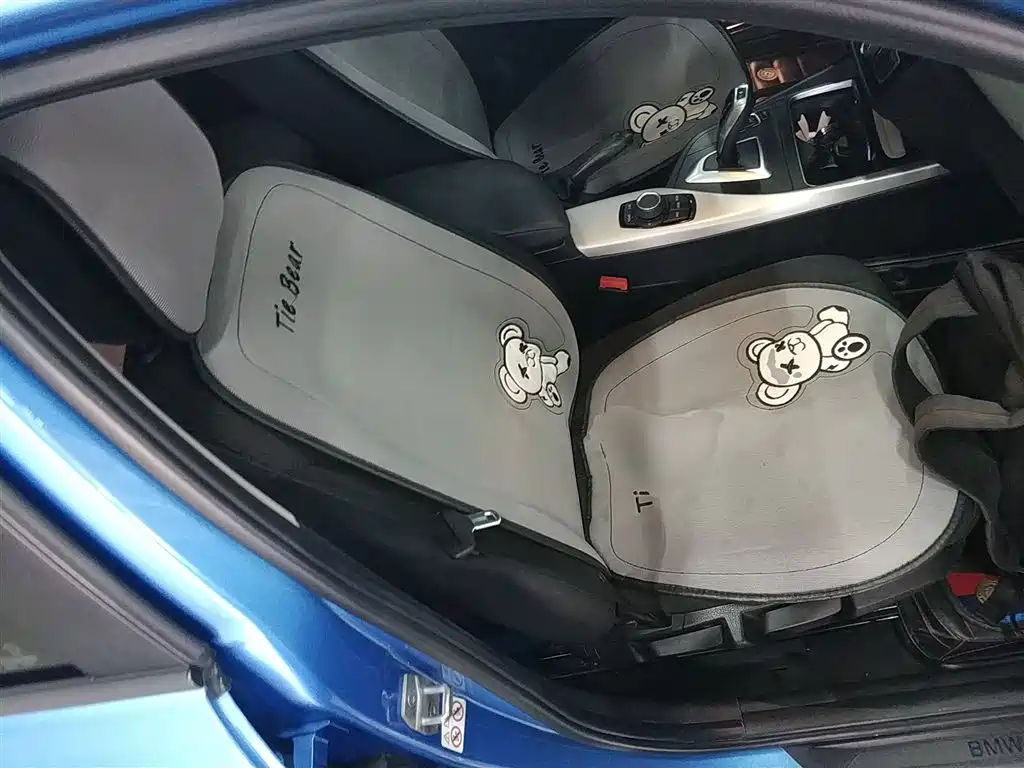 BMW 1 Series (Import) 2018 118i Leading фото 17