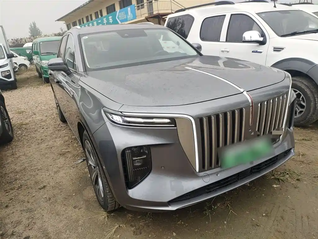 Hongqi E-HS9 2022 690km Qi Xiang Edition (6-seater) фото 20