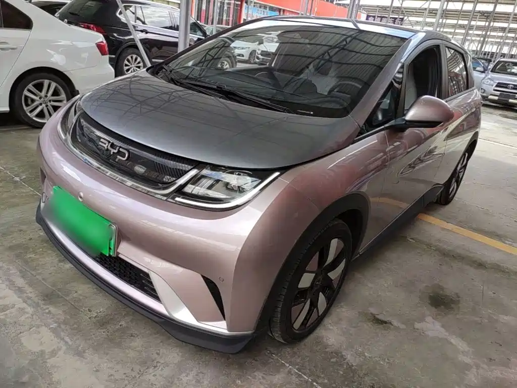 BYD Dolphin 2025