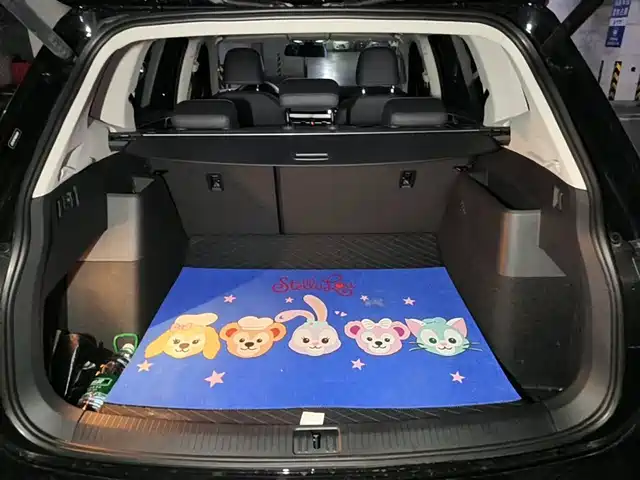 Volkswagen Tiguan L 2025 330TSI Automatic 2WD R-Line Dragon Glory Edition — фото 5