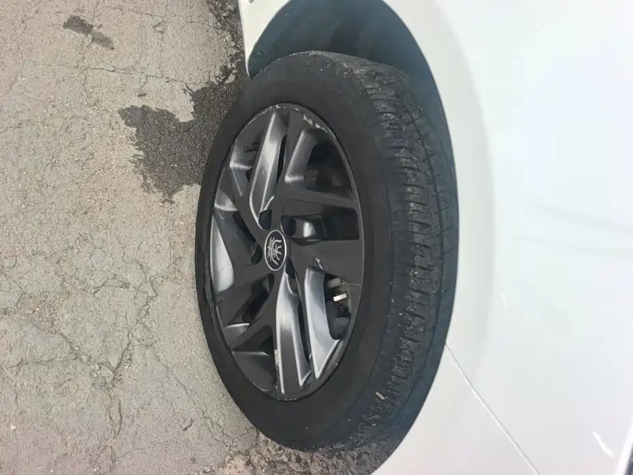 BYD Qin New Energy 2019 2019 Long Range Edition Premium