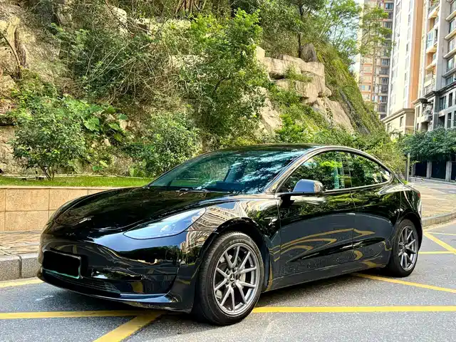 Tesla Model 3 Задний привод
