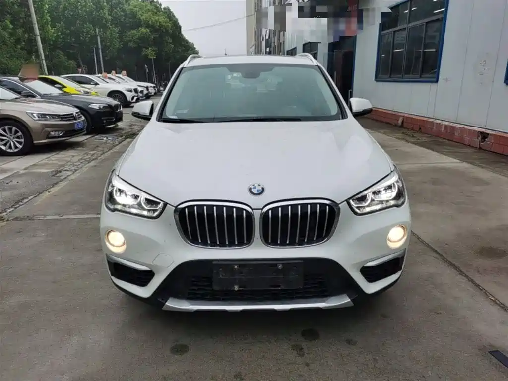 BMW X1 2018 xDrive20Li Luxury Model фото 3