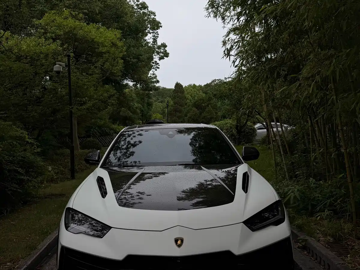Lamborghini Urus 2023 2022 4.0T V8 Performante