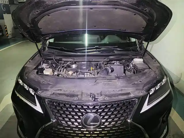 Lexus RX 2020 Facelift 300 AWD Elegance Edition — фото 3