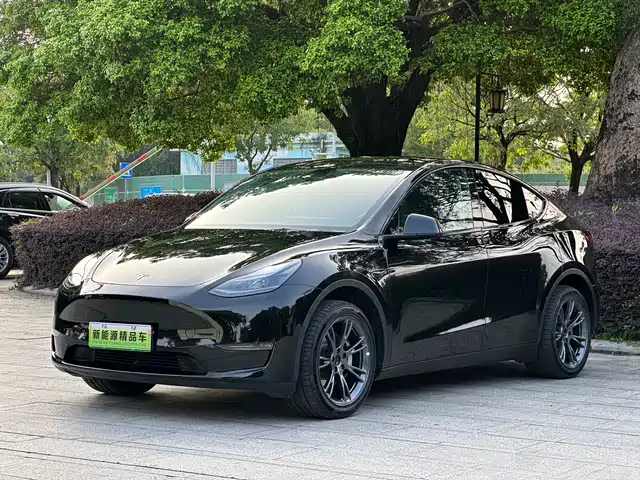 Tesla Model Y 2023 Long Range All-Wheel Drive Edition — фото 1