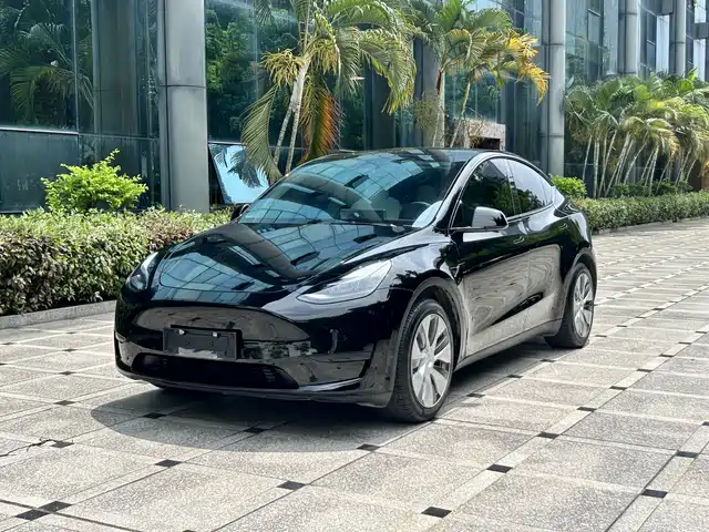 Tesla Model Y Рестайлинг, задний привод