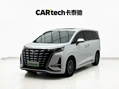 Denza D9