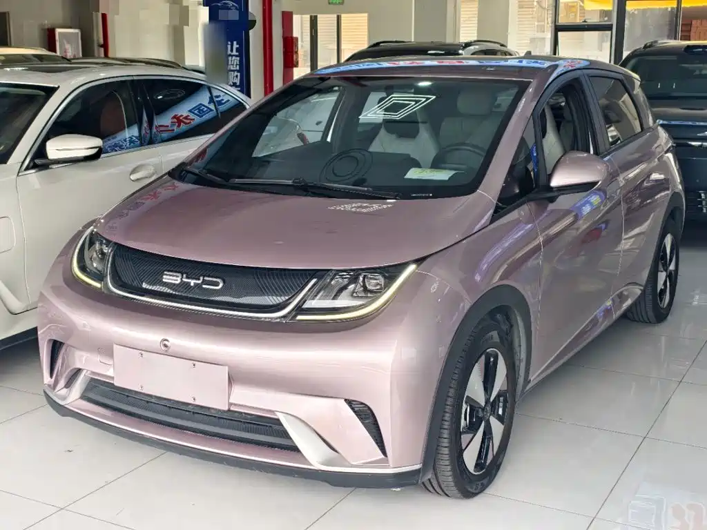BYD Dolphin 2024