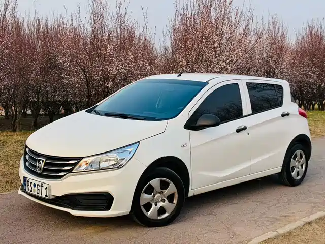 baojun 310