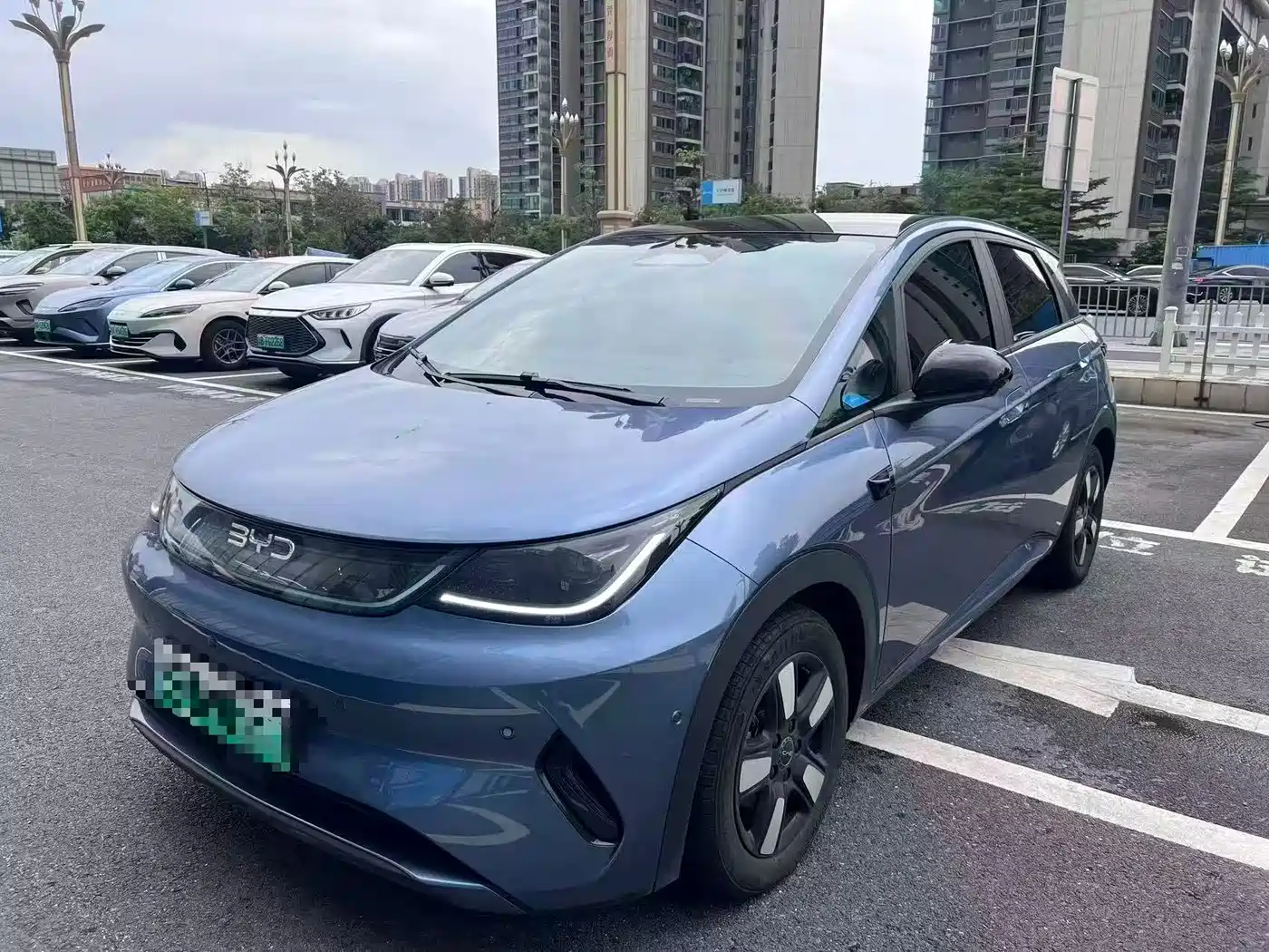 BYD Dolphin