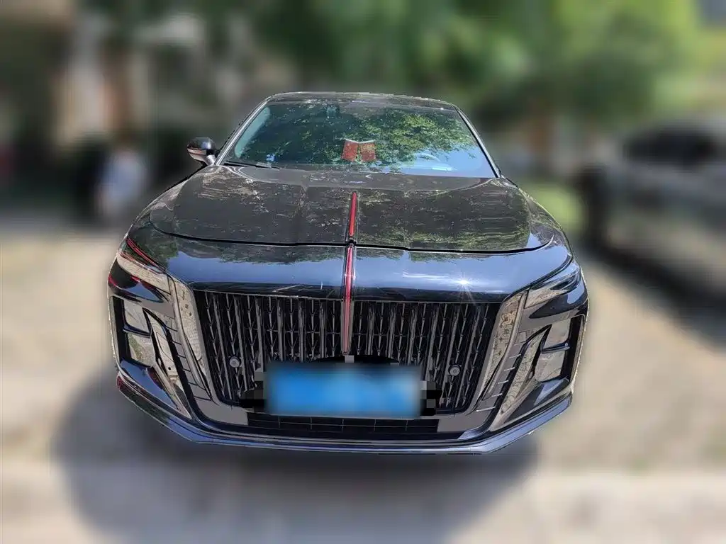 Hongqi H5 2025 1.5T DCT Mystic Shadow 2 Million Edition фото 24