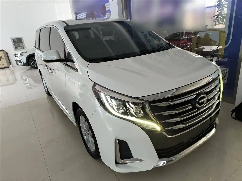 GAC Trumpchi Trumpchi M8 2020 Pilot 390T Premium Edition фото 4