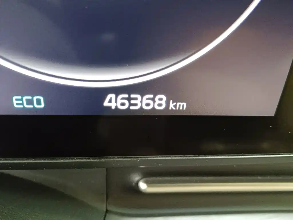 Kia Carnival 2021 2021 2.0T Luxury Premium Edition