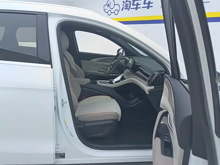 BYD Song Pro New Energy 2024 Glory Edition DM-i 71KM Pilot фото 8