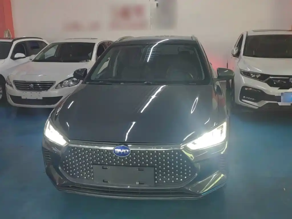 BYD e2 2020 2020 Upgraded Long Range Luxury