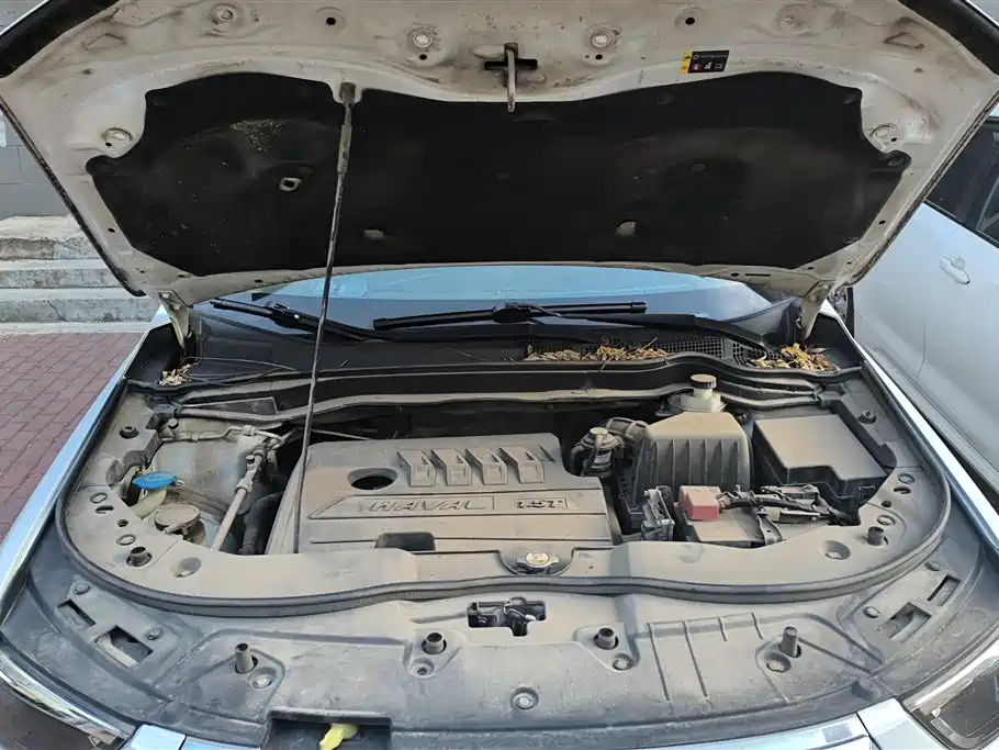 Haval H6 2018 Blue Label Sport 1.5T Automatic 2WD Elite фото 10