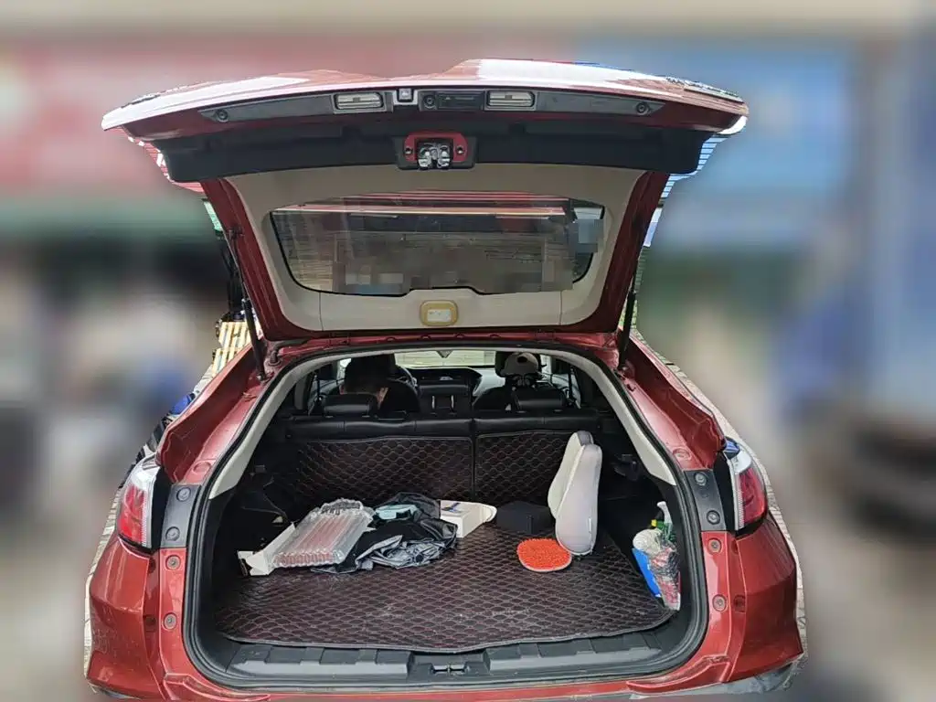 2018 Venucia T90