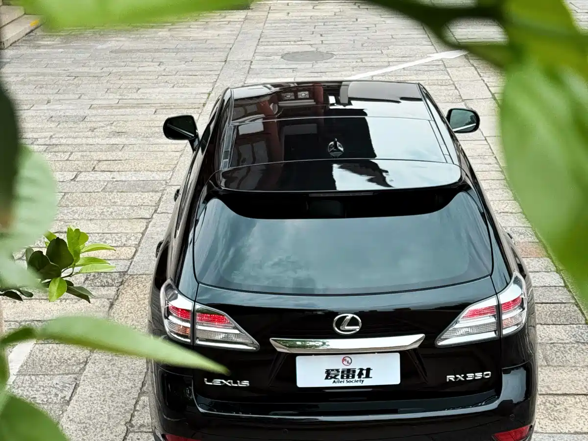 Lexus RX Classic 2009 Model 350 Premium Edition фото 16