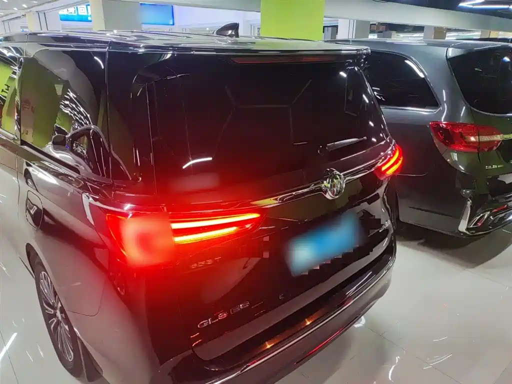 Buick GL8 2021 ES Landlord 653T Luxury фото 5