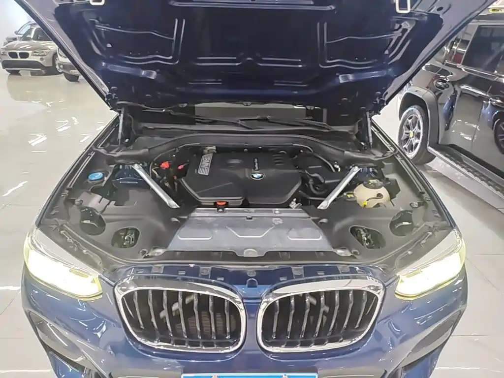 BMW X3 2018 2018 xDrive25i M Sport Package China V