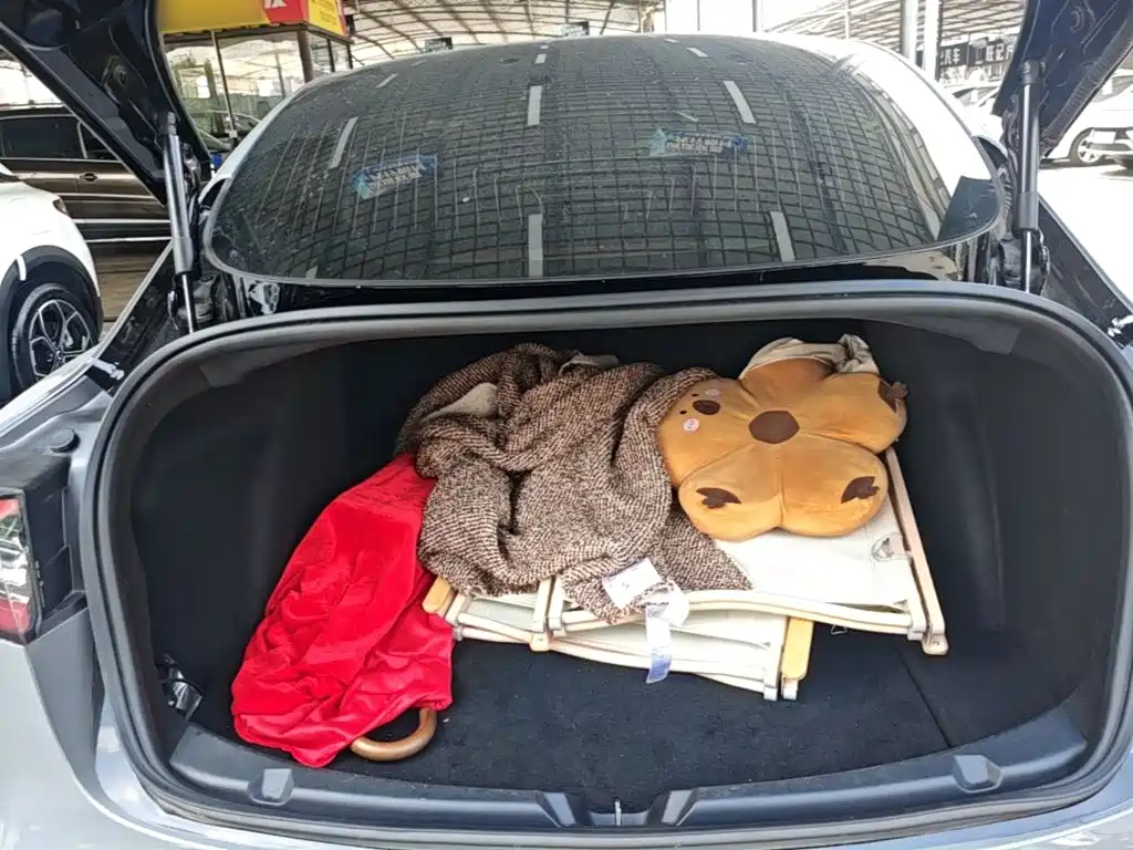 Tesla Model 3 2020 2020 Standard Range Rear-Wheel Drive Upgrade