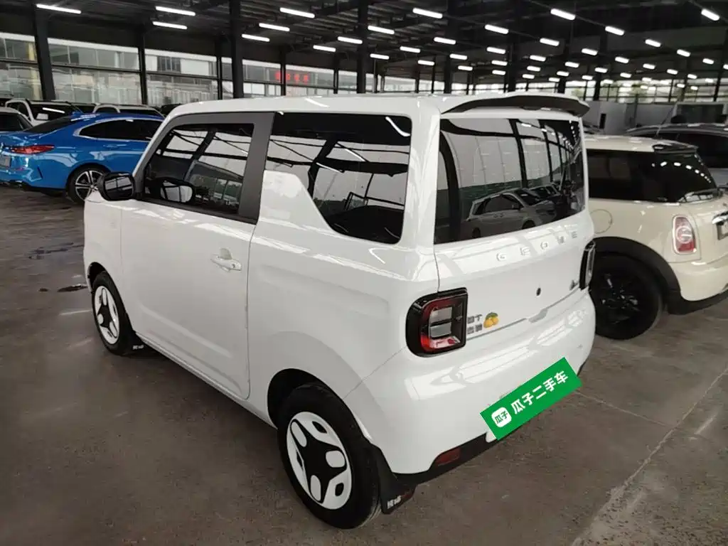Geely Galaxy Panda 2026 2025 Panda mini 210km Vitality Bear