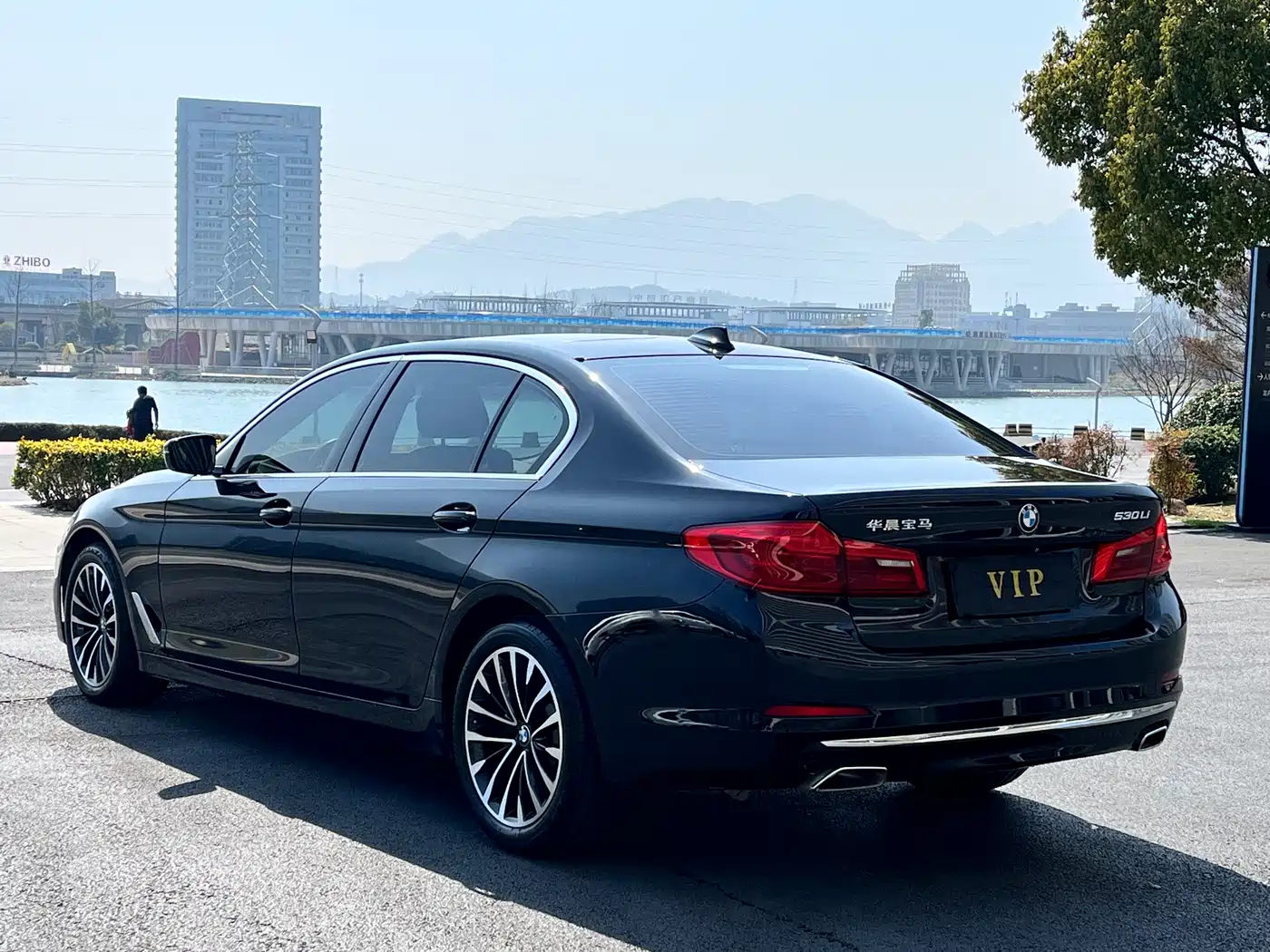 BMW 5 Series 2020 530Li Leading Luxury Package фото 13