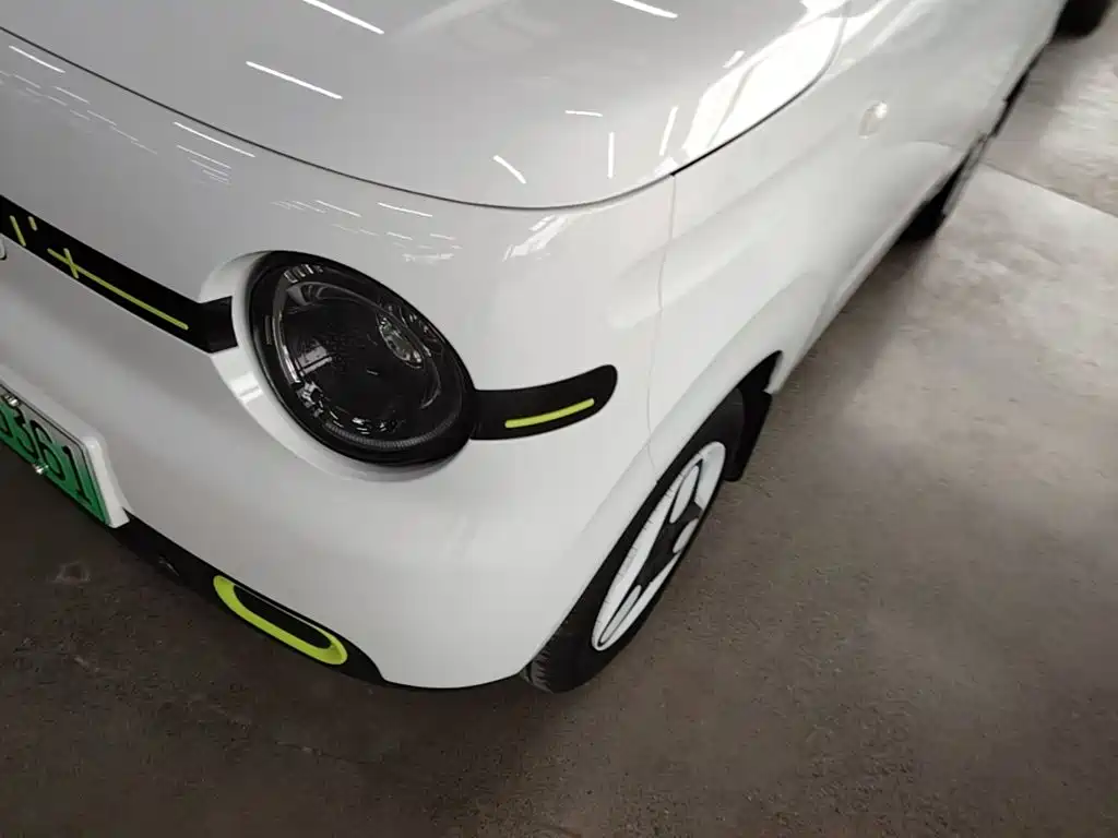 Geely Galaxy Panda 2026 2025 Panda mini 210km Vitality Bear
